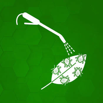 Insecticide Image
