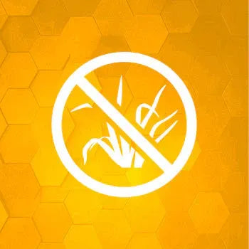 Herbicides Image